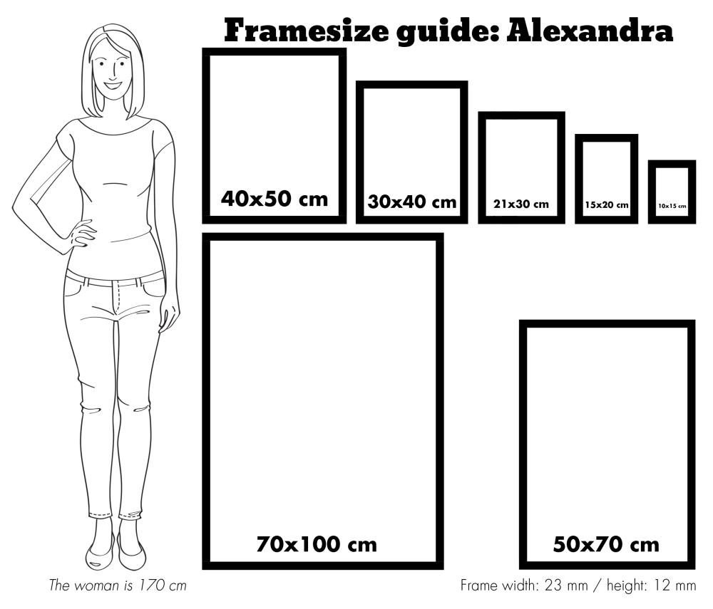 Ram Alexandra Akrylglas Vit 70x100 cm