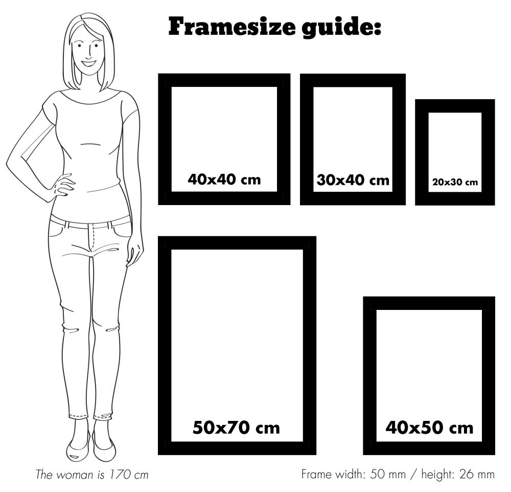 Ram Rokoko Silver 40x50 cm