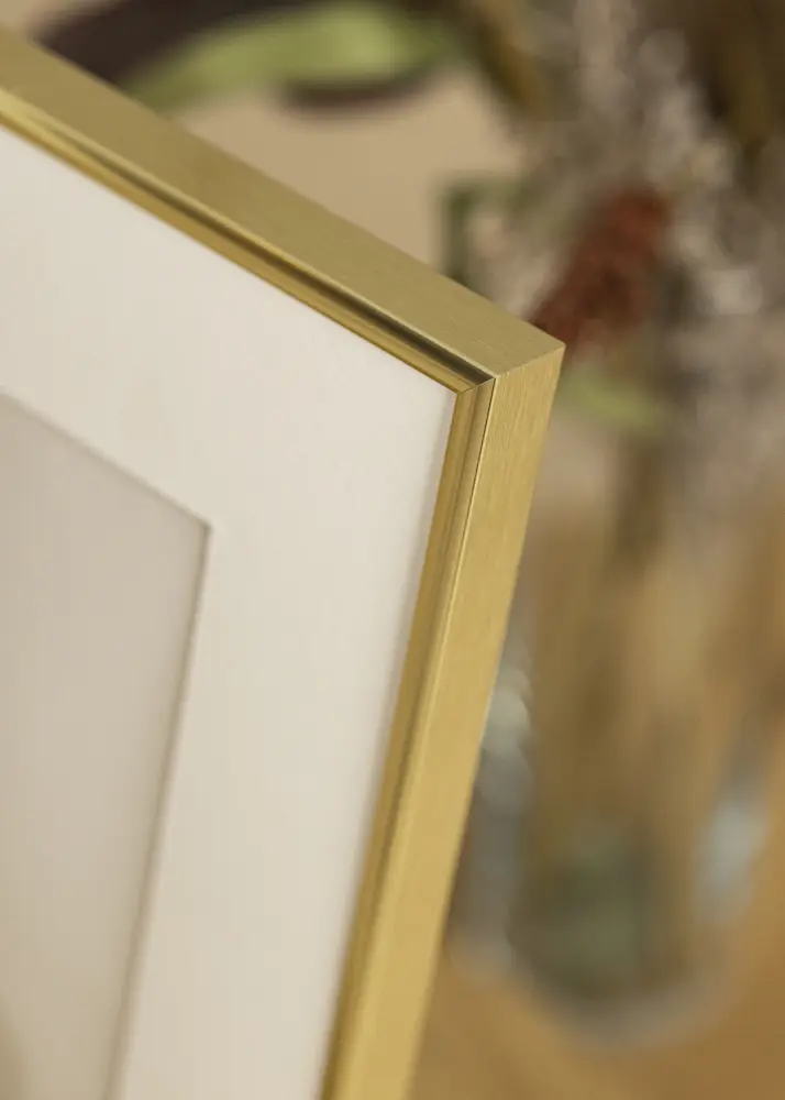 Ram Visby Akrylglas Blank Guld 21x29,7 cm (A4)
