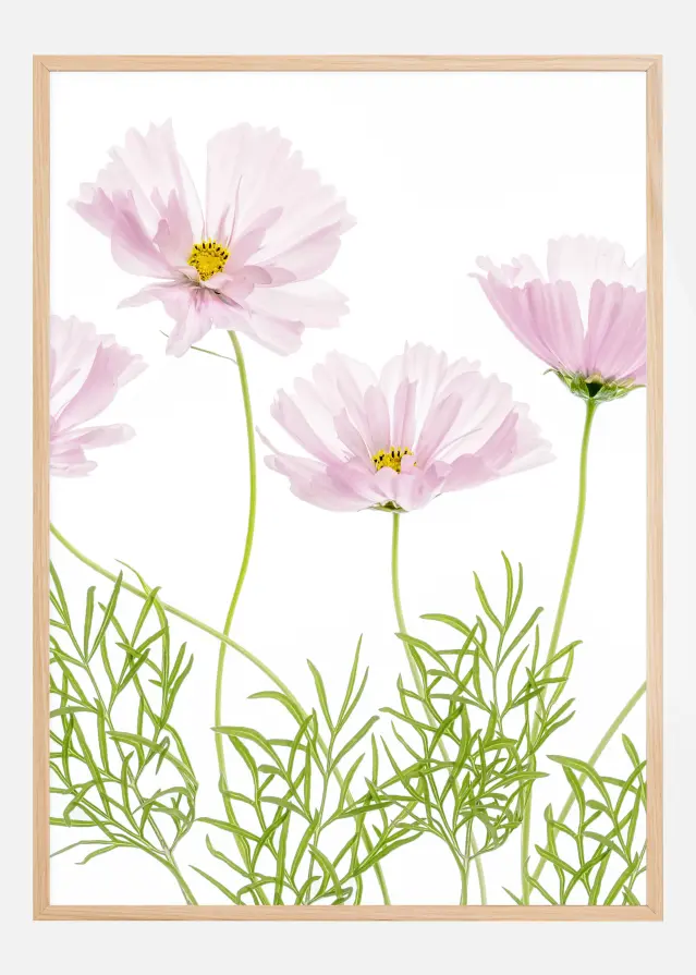 Cosmos Cupcake Poster
