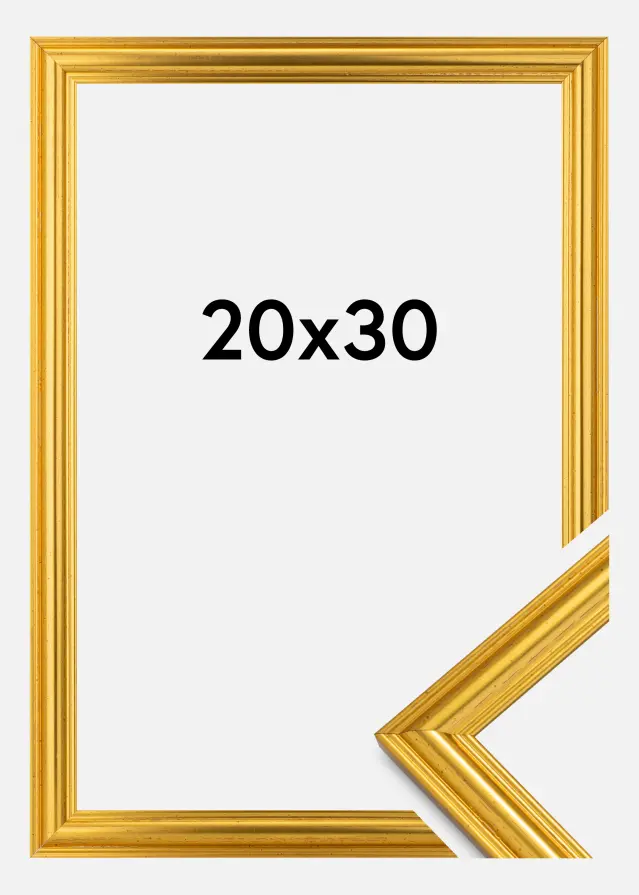 Ram Frigg Guld 20x30 cm