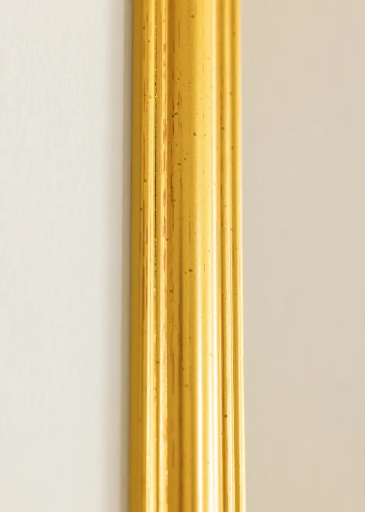Ram Frigg Guld 24x30 cm