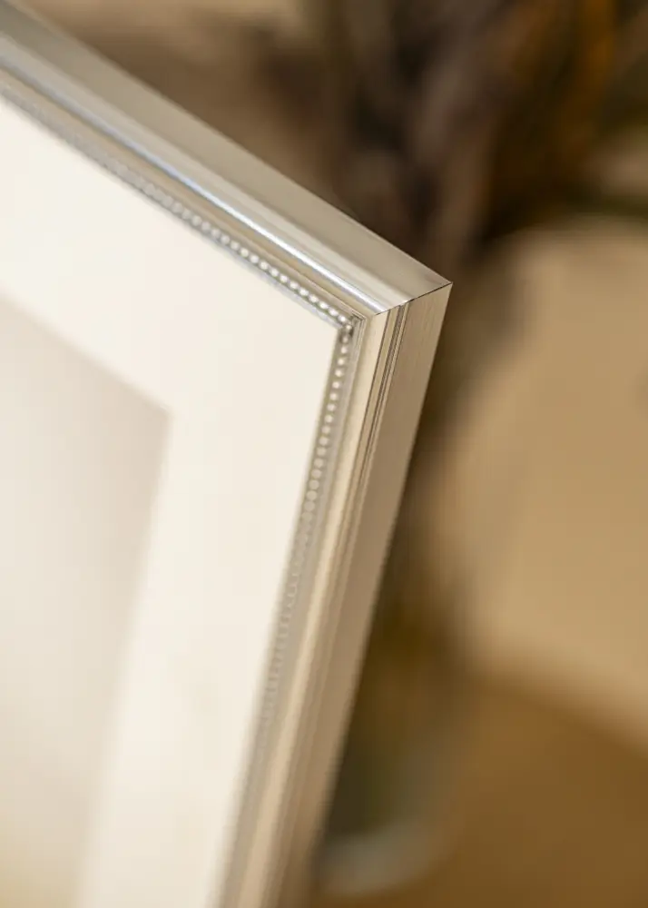 Ram Gala Silver 30x40 cm - Passepartout Vit 20x30 cm