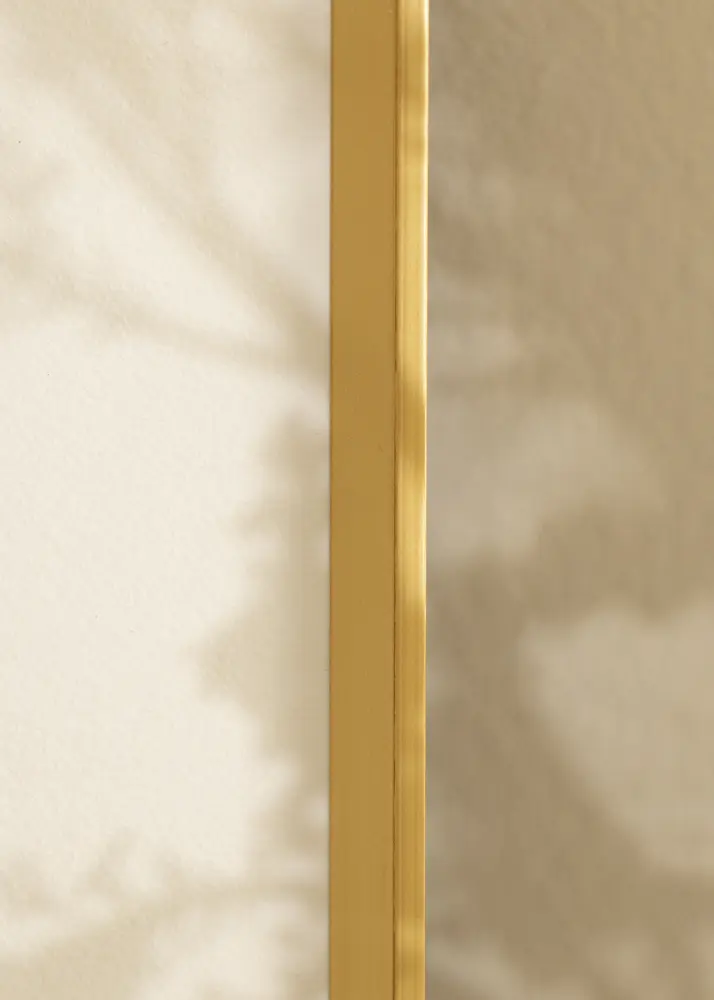 Ram Desire Akrylglas Guld 10x15 cm