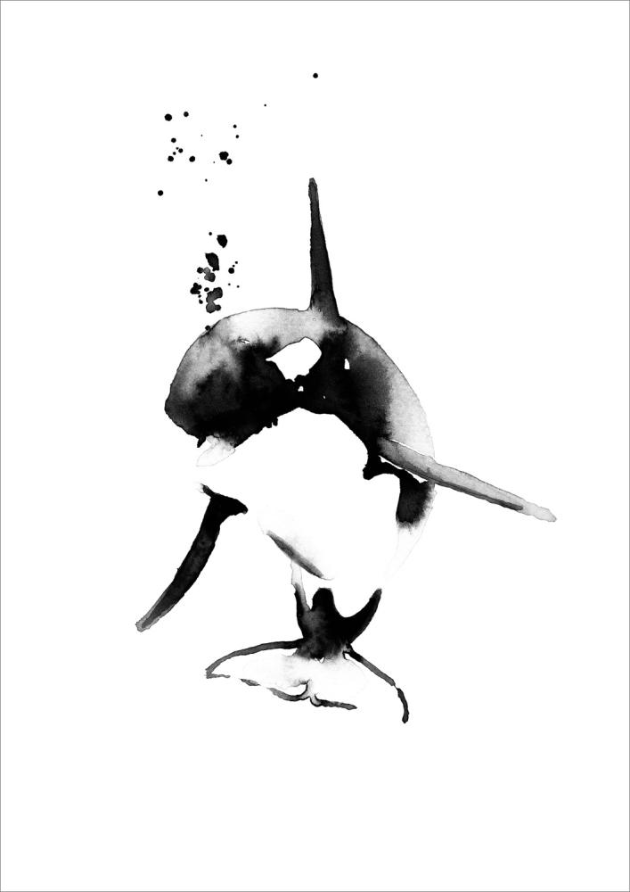 Magdaty - Mini killer whale Poster