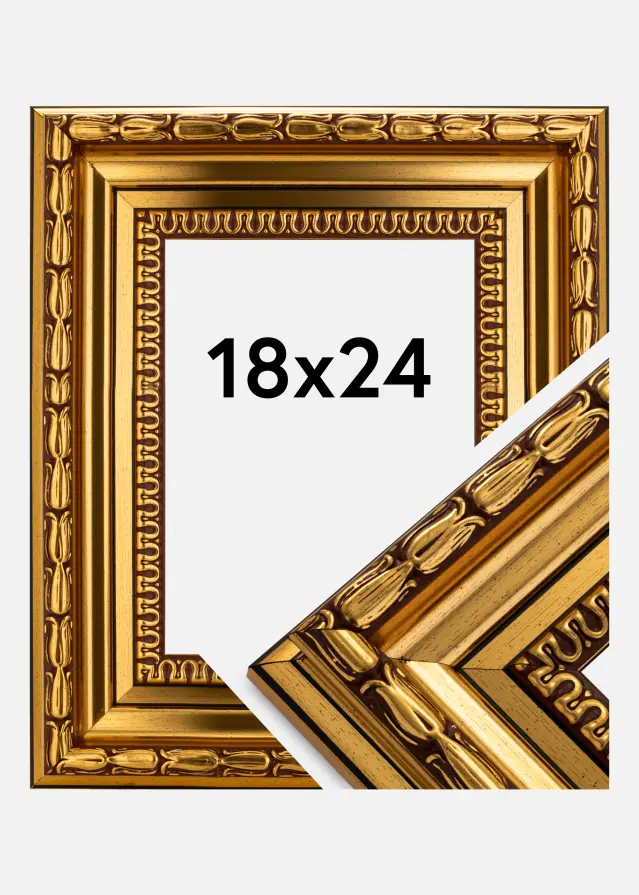 Ram Birka Premium Guld 18x24 cm
