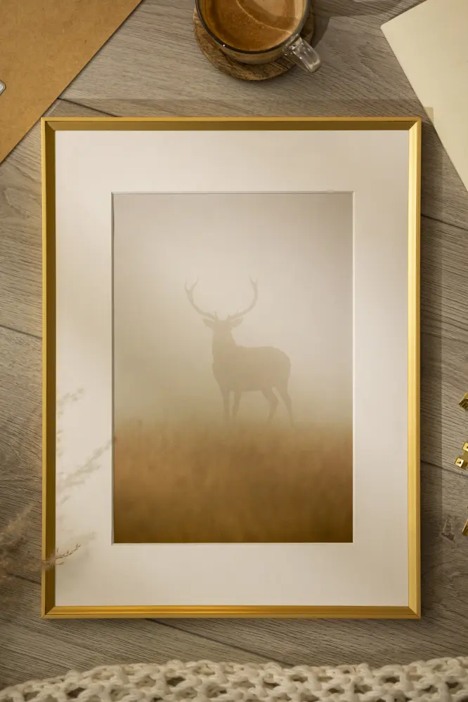 Ram Desire Guld 30x40 cm - Passepartout Vit 21x29,7 cm (A4)
