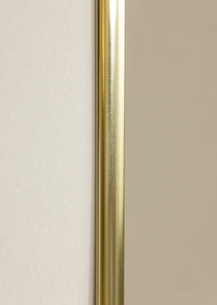 Ram Visby Akrylglas Blank Guld 21x29,7 cm (A4)