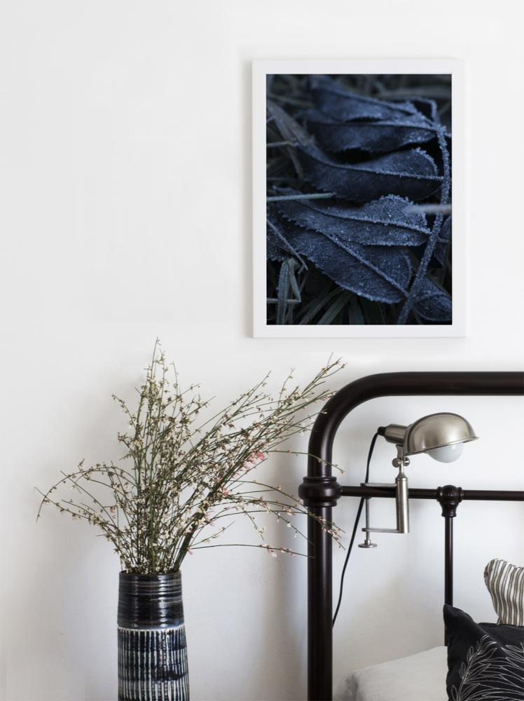 One Must Dash - Frost - 30x40 cm Poster