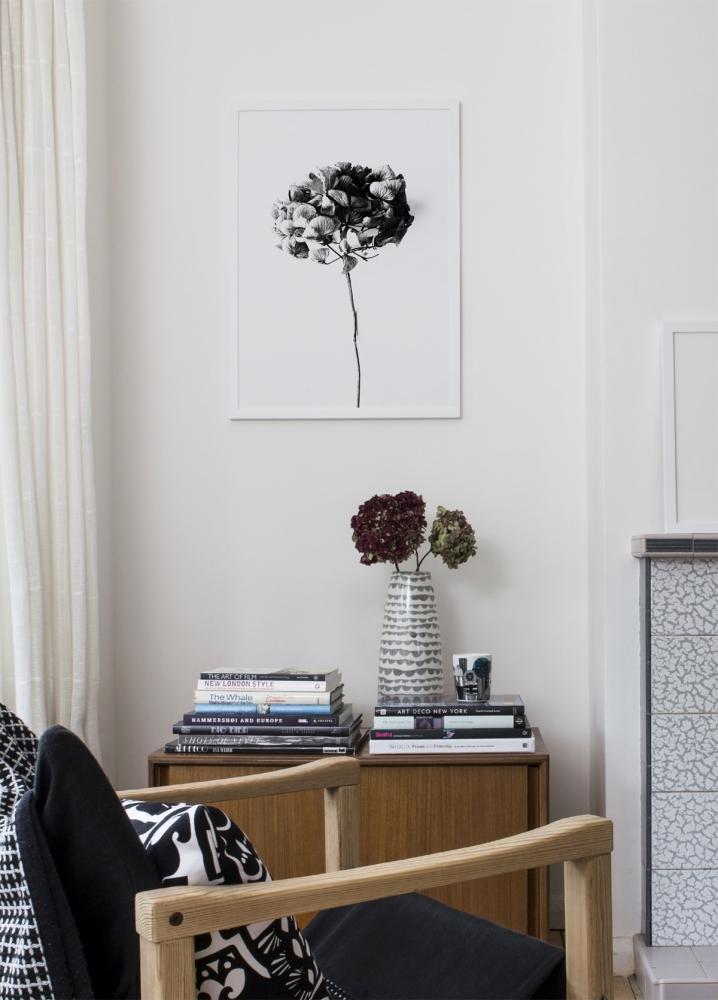 One Must Dash - Honey Honey - 50x70 cm Poster