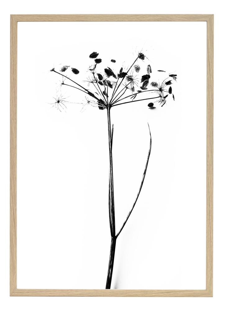 One Must Dash - I do I do I do - 50x70 cm Poster