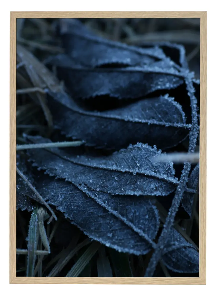 One Must Dash - Frost - 30x40 cm Poster