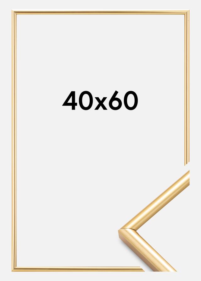 Ram Decoline Guld 40x60 cm