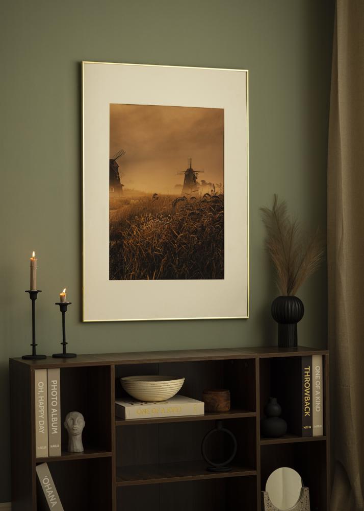 Ram Visby Akrylglas Blank Guld 30x40 cm