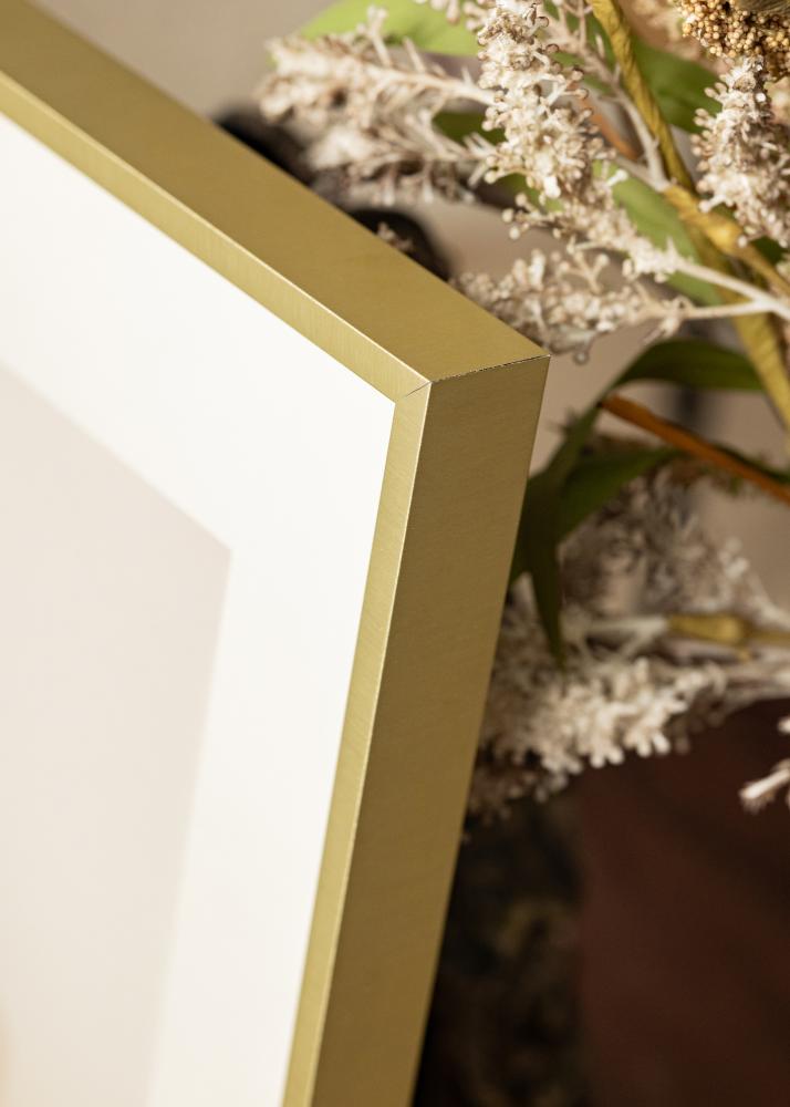 Ram Nielsen Premium Alpha Borstad Guld - Valfri Storlek