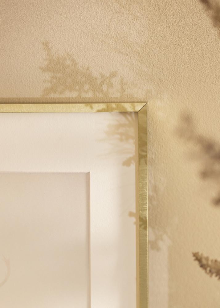 Ram Nielsen Premium Alpha Borstad Guld - Valfri Storlek