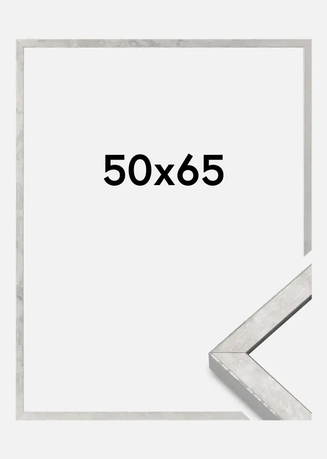 Ram Ares Akrylglas Silver 50x65 cm