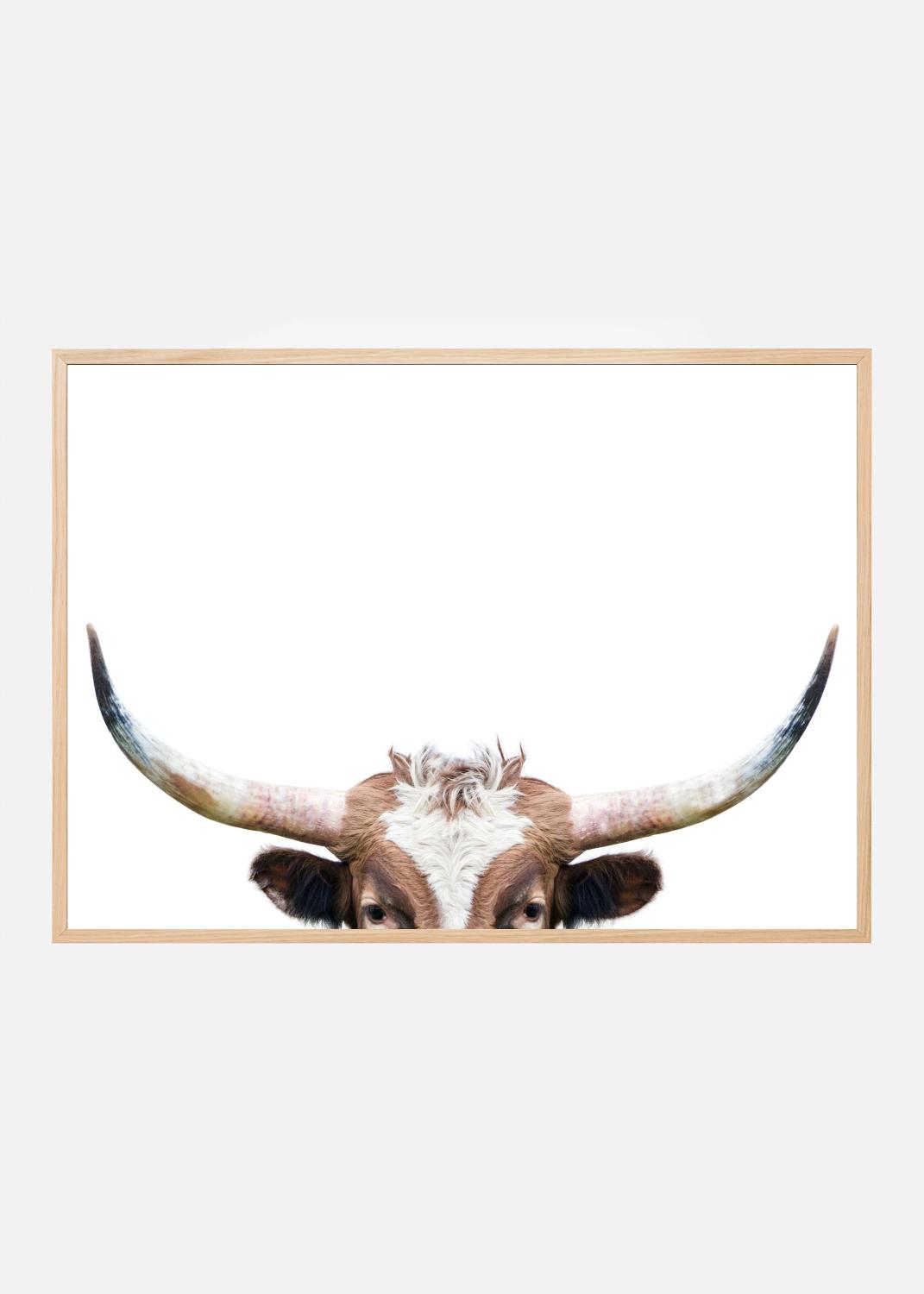 Product Image for Peeking Longhorn Cow Poster (21x29.7 cm (A4))