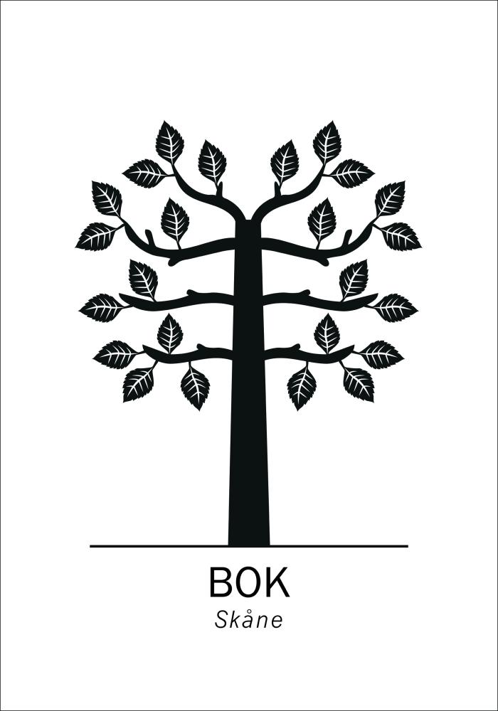 Bok - Skåne Poster