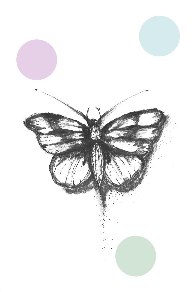 Butterfly Poster