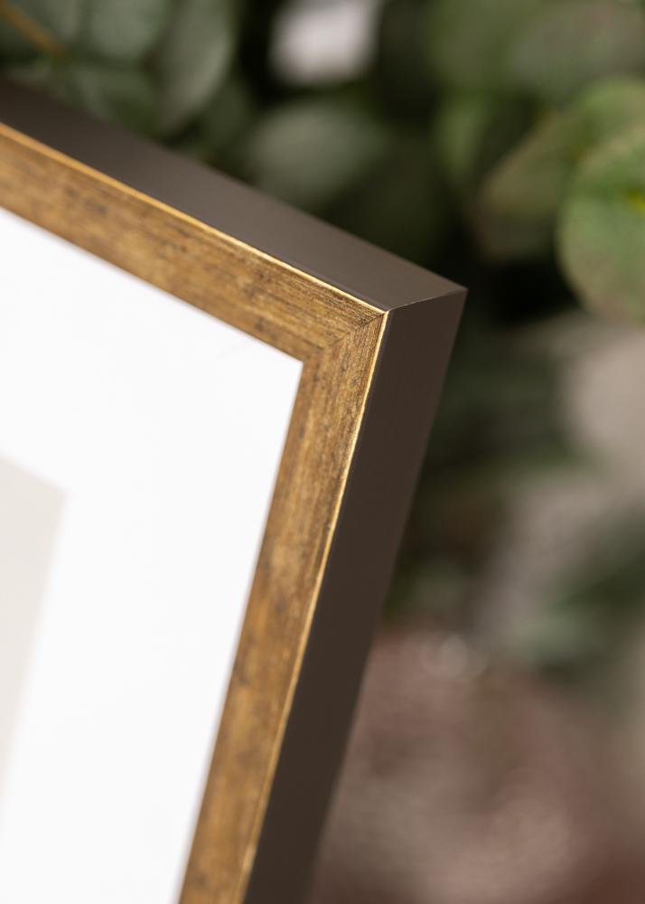 Ram Dune Akrylglas Guld 21x29,7 cm (A4)