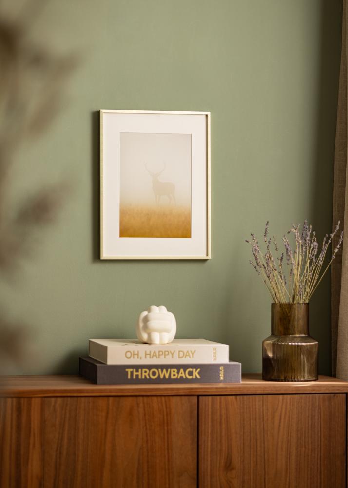 Ram Nielsen Premium Alpha Borstad Guld - Valfri Storlek