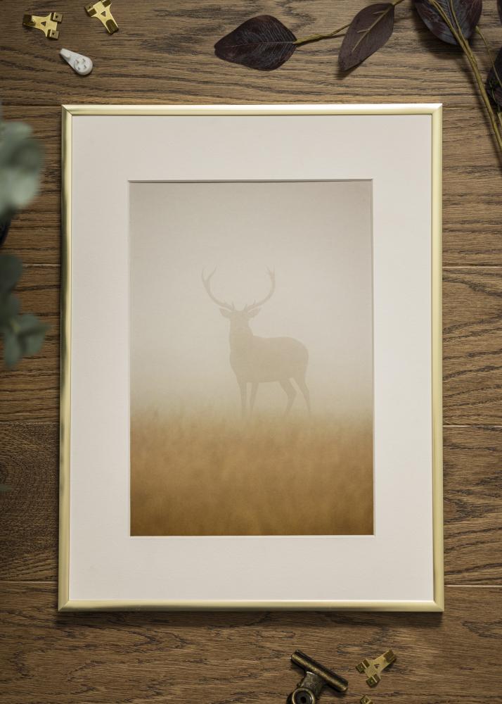 Ram Poster Frame Aluminum Akrylglas Gold 60x80 cm