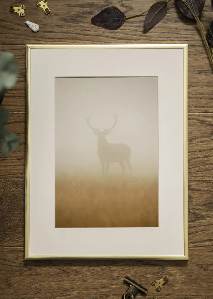 Ram Poster Frame Aluminum Akrylglas Gold 70x100 cm