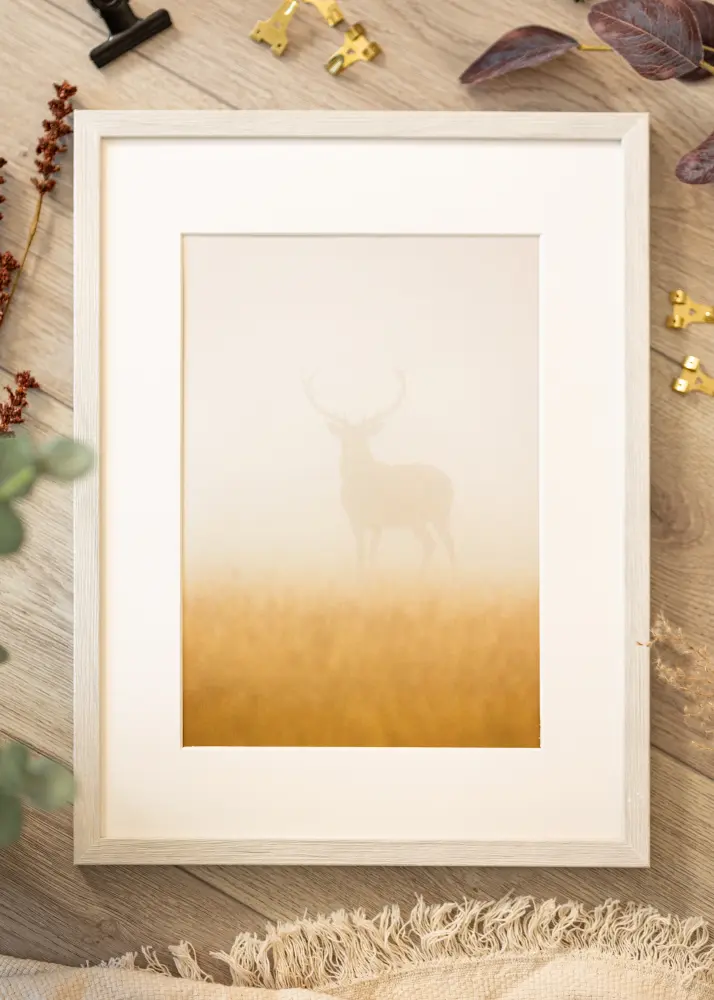 Ram Ares Akrylglas White Oak 42x59,4 cm (A2)