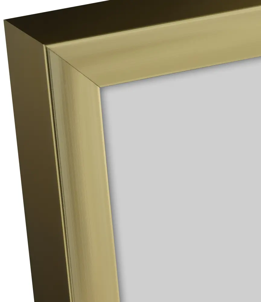 Ram Poster Frame Aluminum Gold 60x80 cm - Passepartout Svart 50x60 cm