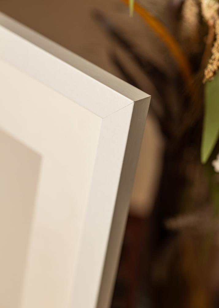 Ram Deco Akrylglas Vit 60x80 cm