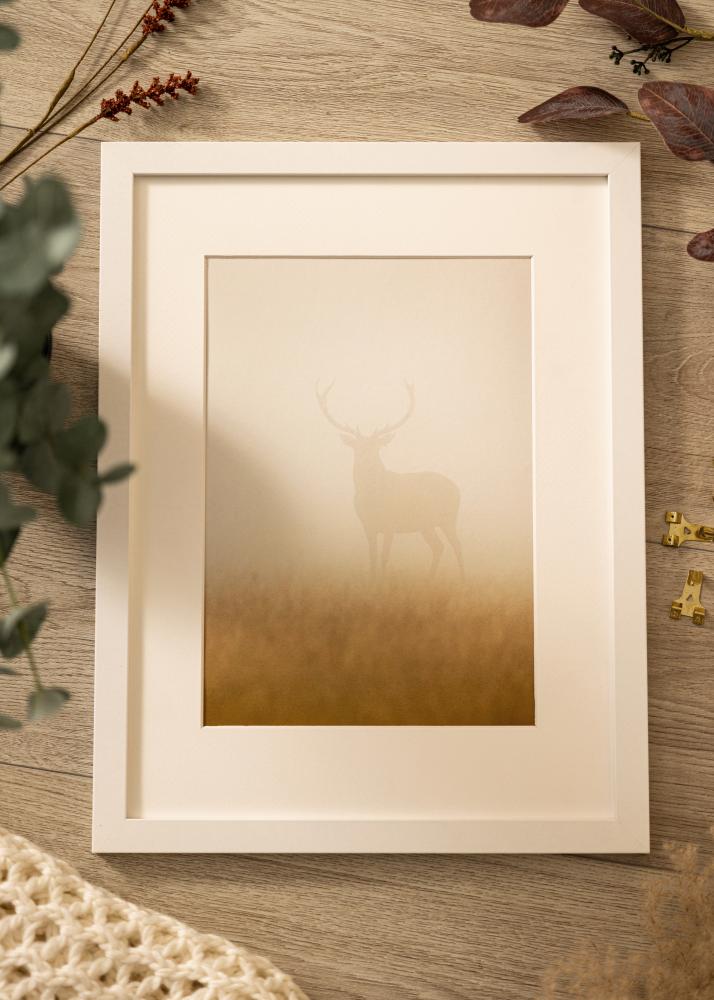 Ram Deco Akrylglas Vit 60x80 cm