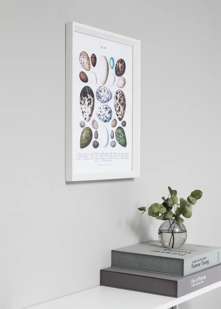 Ram Globe Vit 42x59,4 cm (A2) - Passepartout Svart 25x38 cm