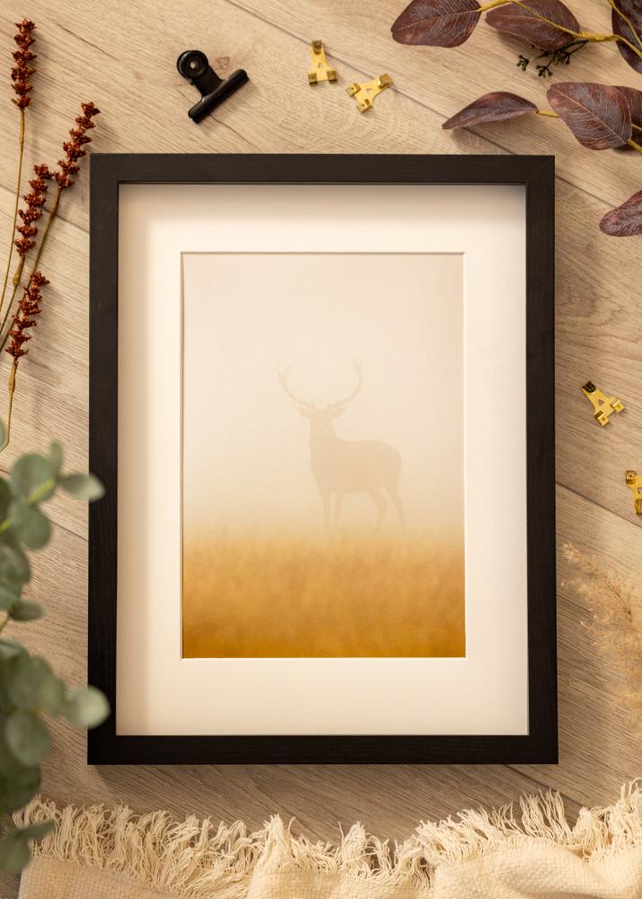 BGA Boxram Akrylglas Svart 50x100 cm