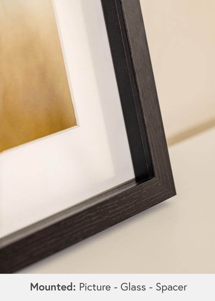 BGA Boxram Akrylglas Svart 50x100 cm