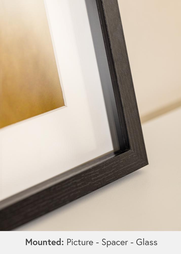 BGA Boxram Akrylglas Svart 50x100 cm