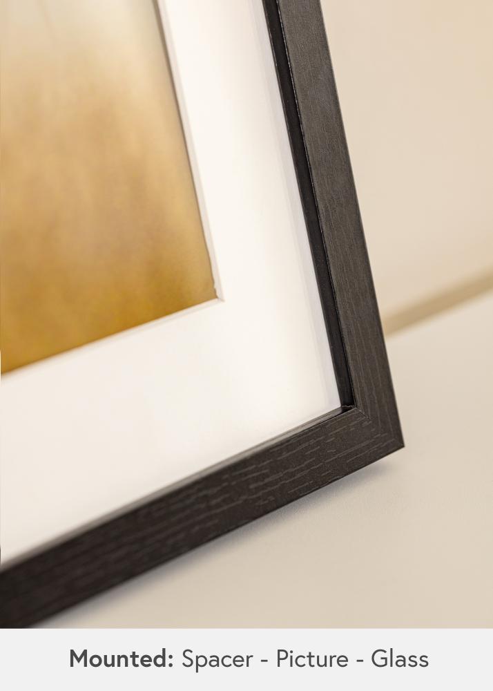 BGA Boxram Akrylglas Svart 50x100 cm