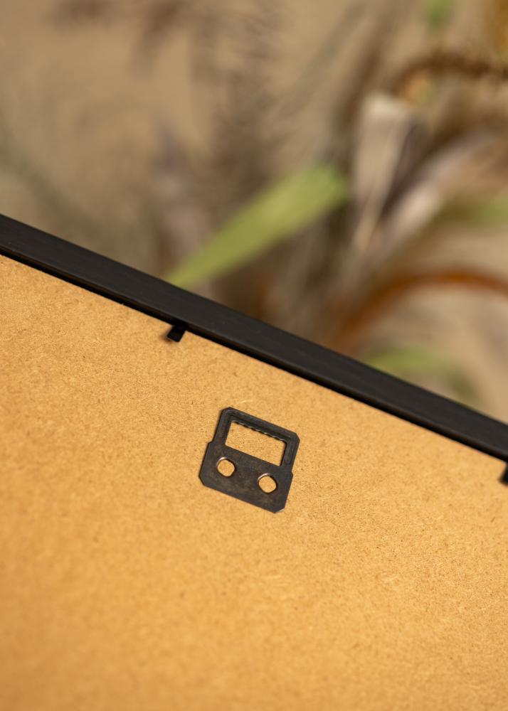 BGA Boxram Akrylglas Svart 50x100 cm