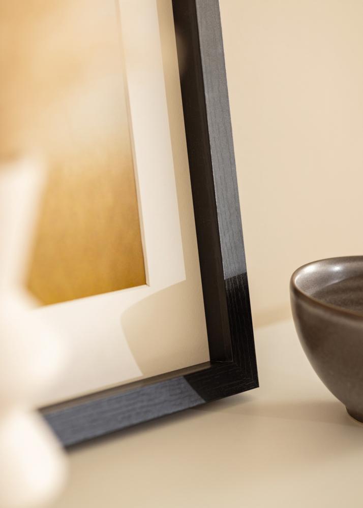 BGA Boxram Akrylglas Svart 50x100 cm