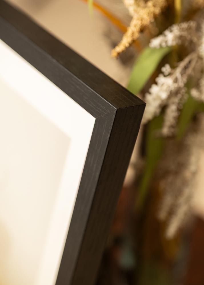 BGA Boxram Akrylglas Svart 50x100 cm