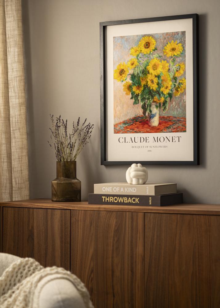 BGA Boxram Akrylglas Svart 50x100 cm