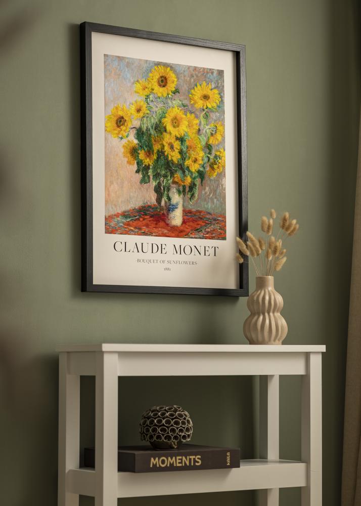 BGA Boxram Akrylglas Svart 50x100 cm