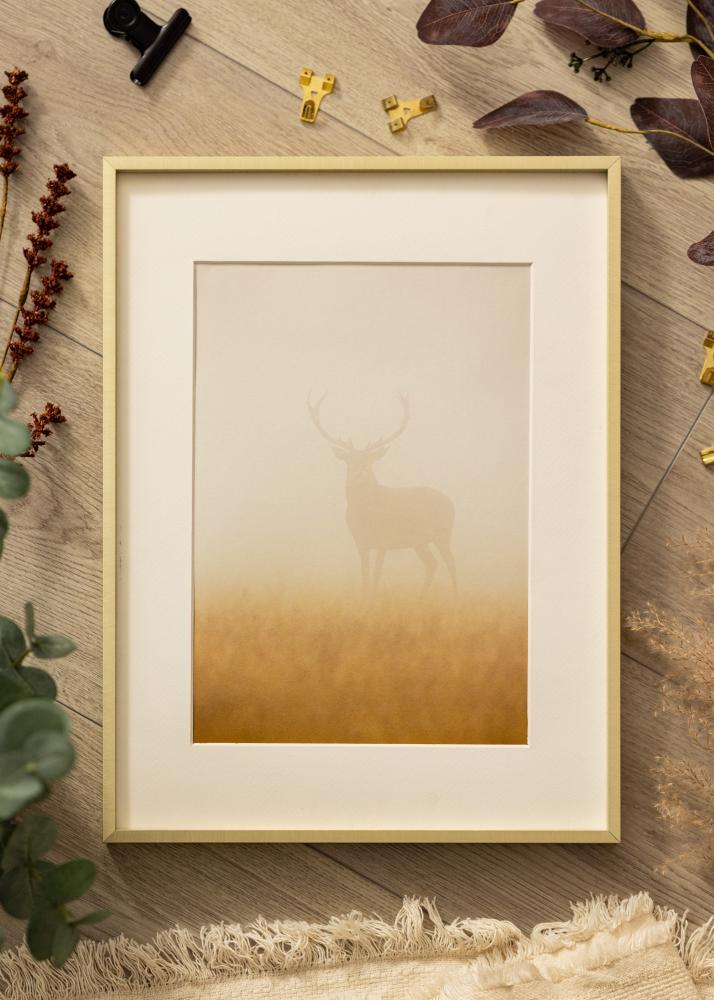 Ram Nielsen Premium Alpha Borstad Guld - Valfri Storlek