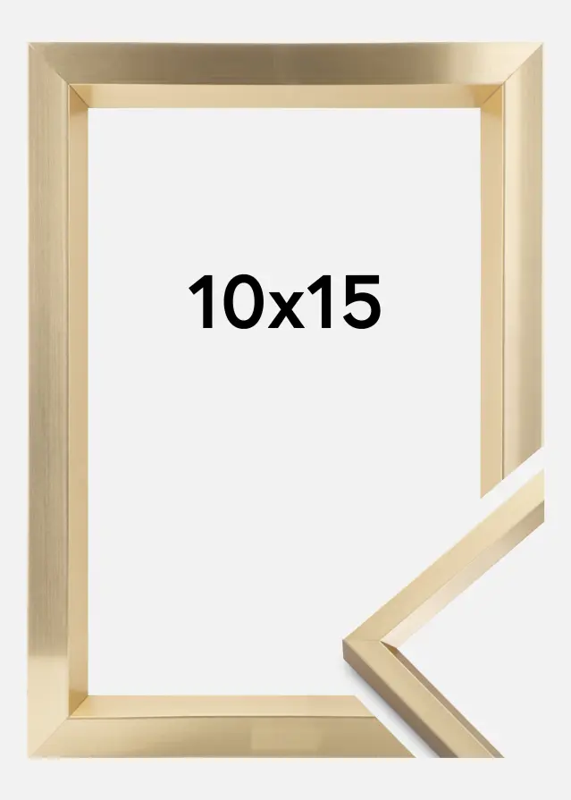 Ram Steel Style Guld 10x15 cm