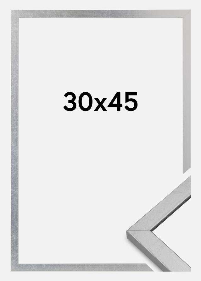 Ram Minerva Akrylglas Silver 30x45 cm