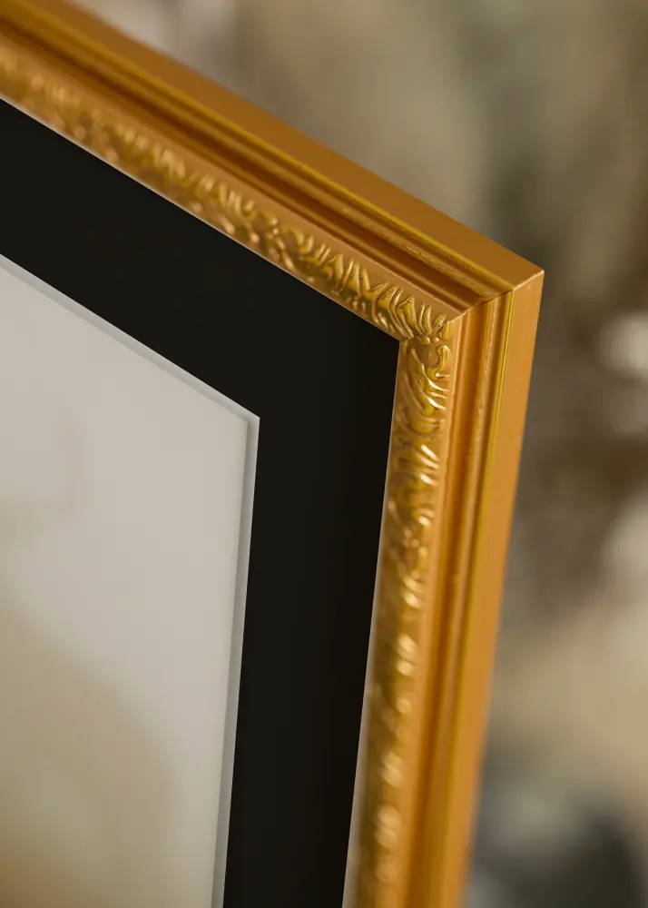 Ram Nostalgia Guld 30x60 cm - Passepartout Svart 22,7x50 cm