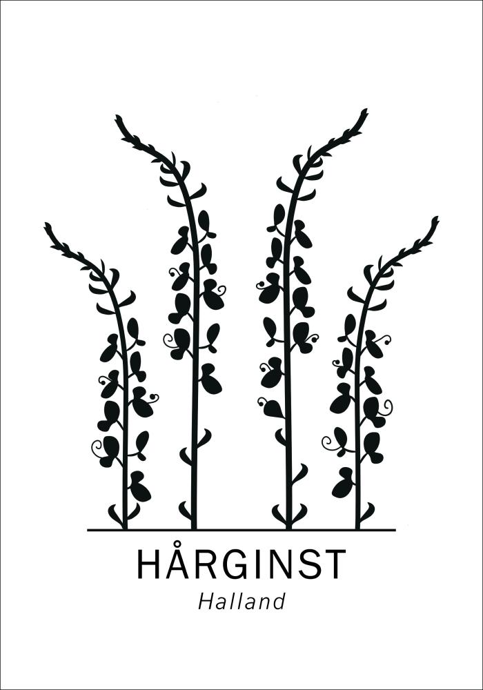 Hårginst - Halland Poster