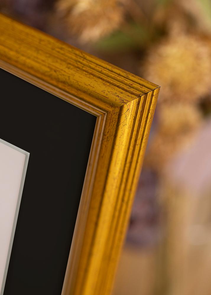 Ram Västkusten Guld 50x60 cm - Passepartout Svart 15x20 inches