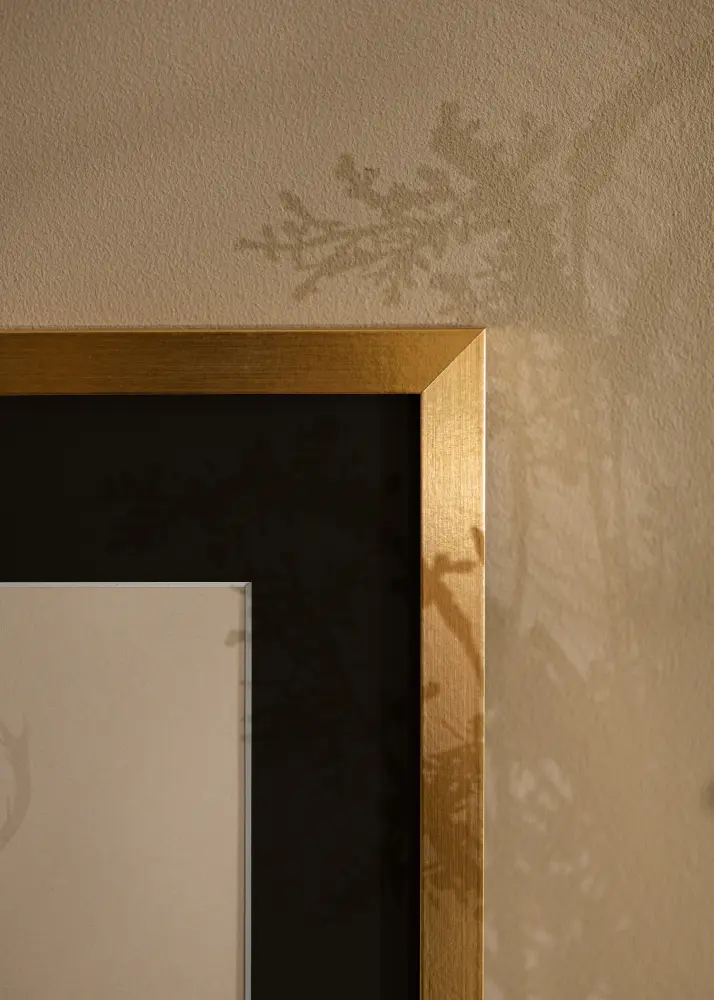Ram Selection Guld 30x40 cm - Passepartout Svart 21x29,7 cm (A4)