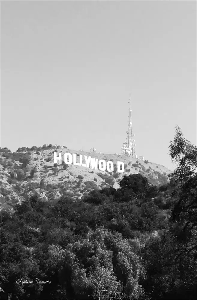 Hollywood Sign Poster